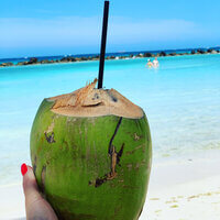 Fresh coconut drink on the beach