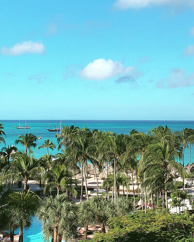 Palm trees and resort view in Aruba