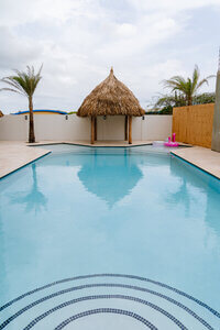 Pool with thatched palapa