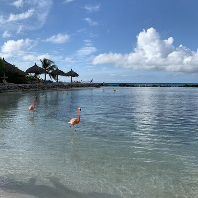 Strand op Aruba
